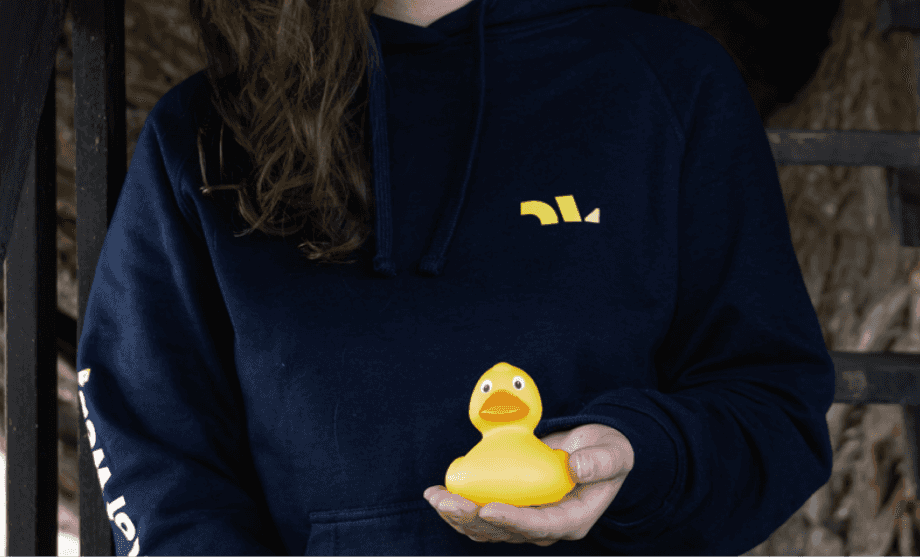 Perfect website for a startup